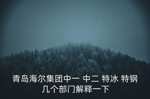 海爾內(nèi)銷是什么意思，有帶鎖的冰箱么冷藏冷凍功能都要有的謝謝