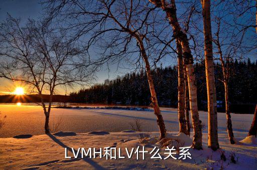 LVMH和LV什么關系