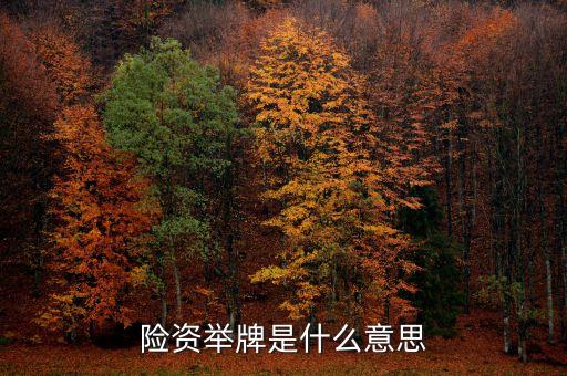 保險(xiǎn)資金舉牌是什么意思，險(xiǎn)資舉牌是什么意思