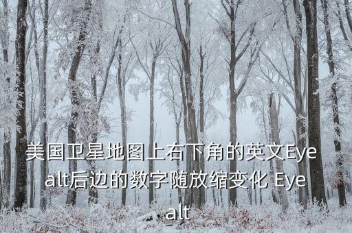 美國衛(wèi)星地圖上右下角的英文Eye alt后邊的數(shù)字隨放縮變化 Eye alt