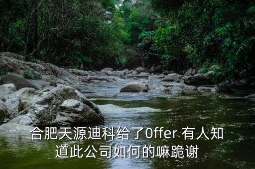 合肥天源迪科給了0ffer 有人知道此公司如何的嘛跪謝