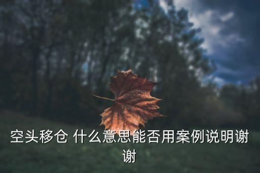 空頭移倉 什么意思能否用案例說明謝謝