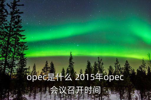 什么是opec會(huì)議，OPEC石油會(huì)議是什么時(shí)候召開啊石油價(jià)格會(huì)受影響嗎