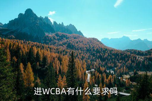 進霍尼韋爾有什么要求，進WCBA有什么要求嗎