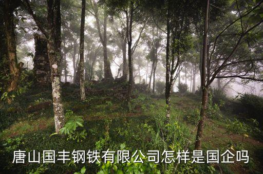 唐山國豐鋼鐵有限公司怎樣是國企嗎