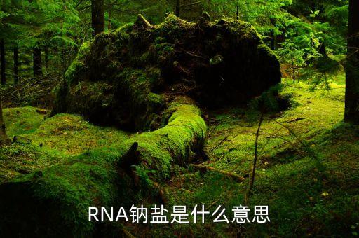 RNA鈉鹽是什么意思