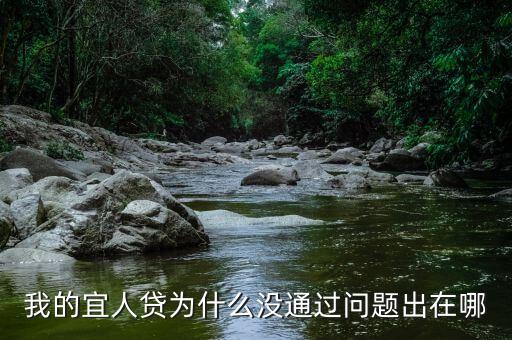 我的宜人貸為什么沒(méi)通過(guò)問(wèn)題出在哪