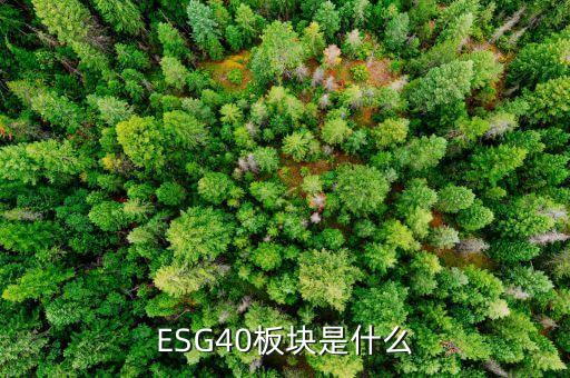 股票入選esg40是什么意思，ESG40板塊是什么