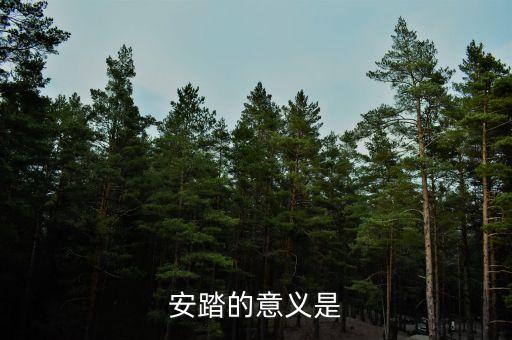 私募應(yīng)安踏在世界上有什么地位，私募在社會(huì)各界人士心目中的地位如何