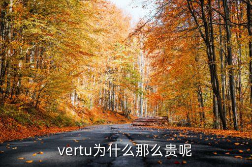 vertu為什么那么貴呢