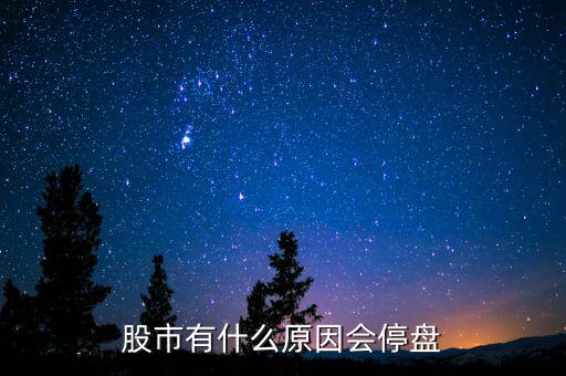 002203為什么停盤，股市有什么原因會(huì)停盤