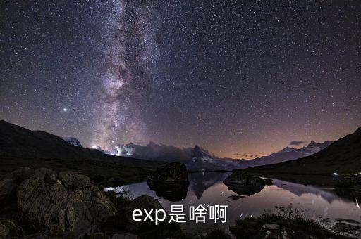 expd是什么意思，exp是啥啊