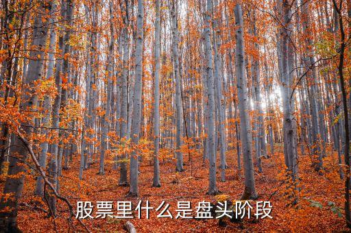 股票里什么是盤(pán)頭階段