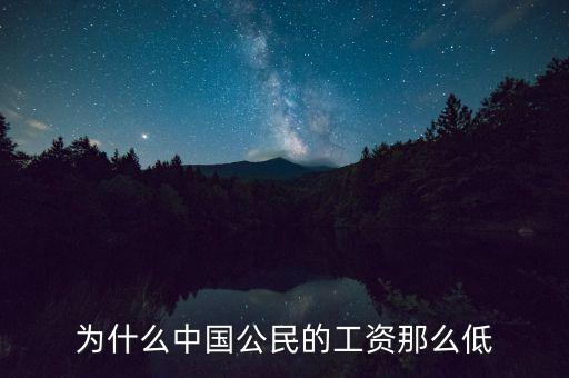 為什么中國公民的工資那么低