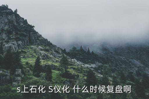 s上石化 S儀化 什么時(shí)候復(fù)盤啊