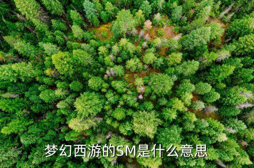 石煤是什么東西，石煤的發(fā)熱量有沒有超過5000卡