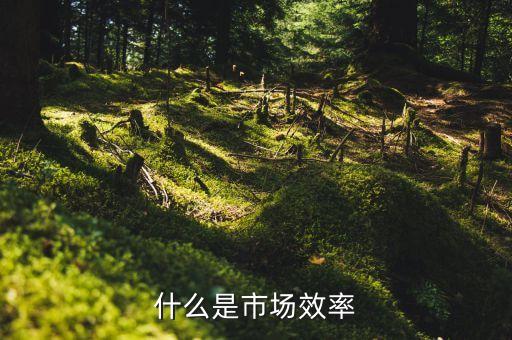 外匯市場效率理論是什么，介紹一些實用基礎(chǔ)精僻的經(jīng)濟(jì)學(xué)著作