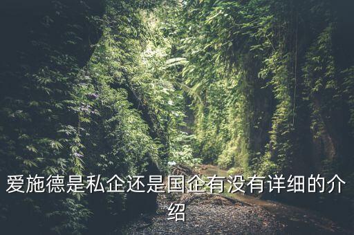 愛(ài)施德是私企還是國(guó)企有沒(méi)有詳細(xì)的介紹