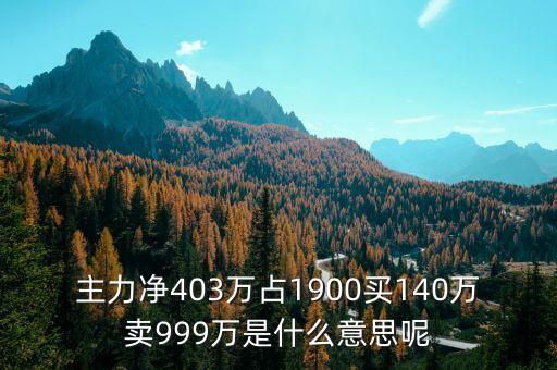 主力凈403萬(wàn)占1900買140萬(wàn)賣999萬(wàn)是什么意思呢