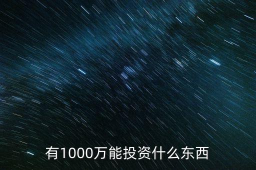 1000萬投資什么好，有1000萬能投資什么東西