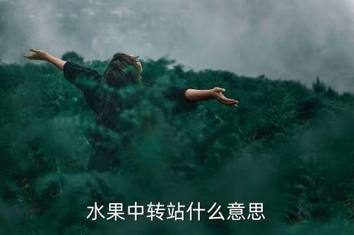 水果中轉(zhuǎn)站什么意思