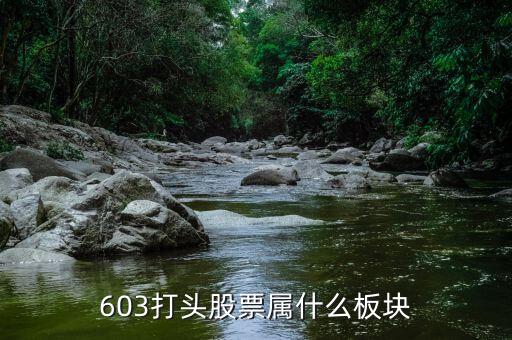 601608屬于什么板塊，600618屬于什么板塊