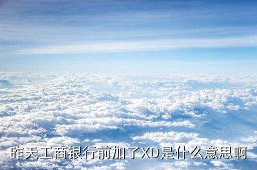 xd工商銀行是什么意思，征信系統(tǒng)中xd代號是哪個銀行