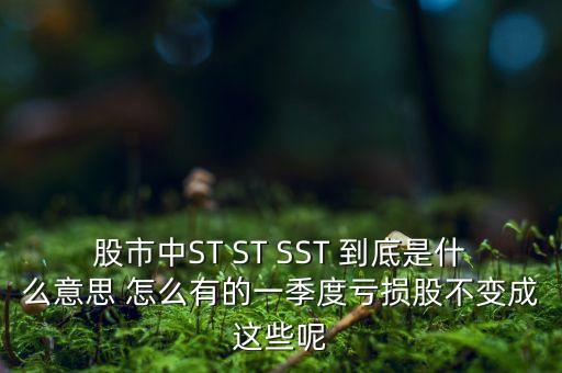 st銀山是什么公司，數(shù)量單位用st表示是什么意思