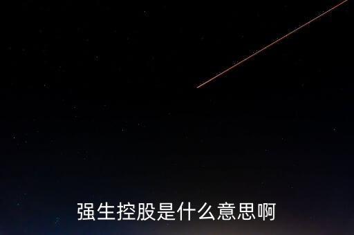 600662強(qiáng)生控股是做什么的，強(qiáng)生控股是什么意思啊