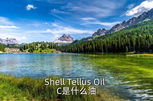 權(quán)益油是什么，Shell Tellus Oil C是什么油