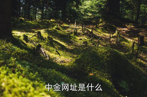 中金網(wǎng)址是什么