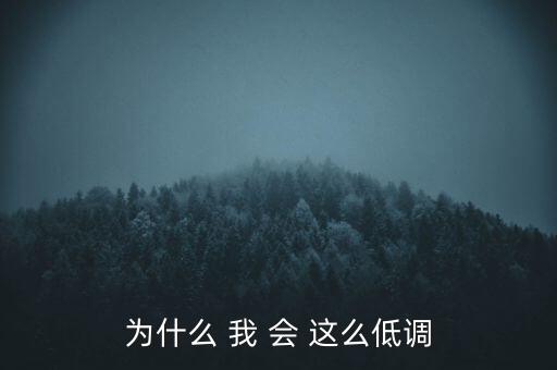 為什么 我 會 這么低調(diào)