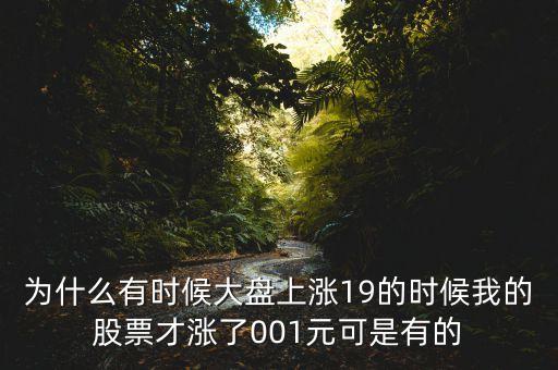 為什么有時(shí)候大盤(pán)上漲19的時(shí)候我的股票才漲了001元可是有的