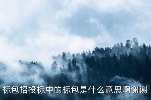 標(biāo)包招投標(biāo)中的標(biāo)包是什么意思啊謝謝