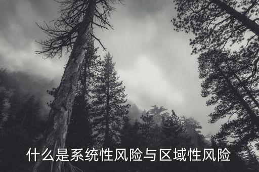 什么是系統(tǒng)性風(fēng)險(xiǎn)與區(qū)域性風(fēng)險(xiǎn)