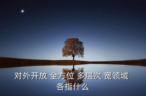 什么是多層次開放，對外開放 全方位 多層次 寬領(lǐng)域 各指什么