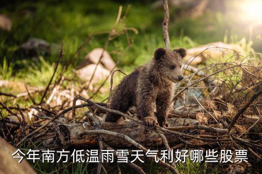 降溫降雪什么股票漲，寒冬對(duì)個(gè)股影響今年冬天非常寒冷在股市那些股票會(huì)大漲