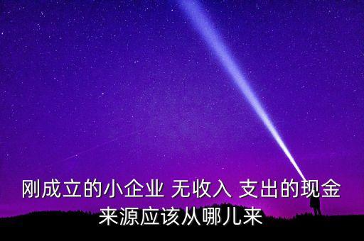 小企業(yè)主為什么沒現(xiàn)金，剛成立的小企業(yè) 無收入 支出的現(xiàn)金來源應該從哪兒來