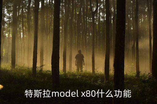 特斯拉x什么時(shí)候在中國上市，model x什么時(shí)候在中國上市