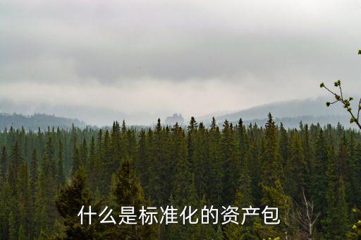 什么屬于標準化資產(chǎn)，標準化資產(chǎn) 什么是標準化資產(chǎn)