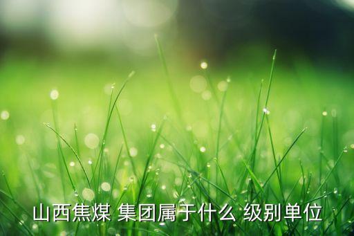 沈煤集團(tuán)是什么級(jí)別,北京京煤集團(tuán)是什么級(jí)別