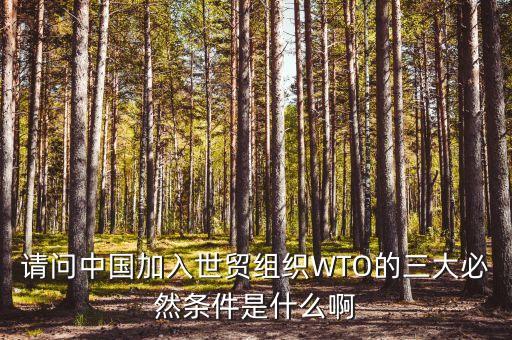 請(qǐng)問(wèn)中國(guó)加入世貿(mào)組織WTO的三大必然條件是什么啊