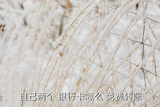 自己兩個(gè) 銀行卡怎么 免費(fèi)轉(zhuǎn)賬