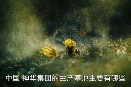 神華北海公司,北海神華電廠(chǎng)最新消息