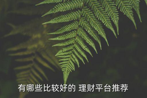 有哪些比較好的 理財(cái)平臺(tái)推薦