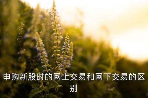 申購(gòu)新股時(shí)的網(wǎng)上交易和網(wǎng)下交易的區(qū)別