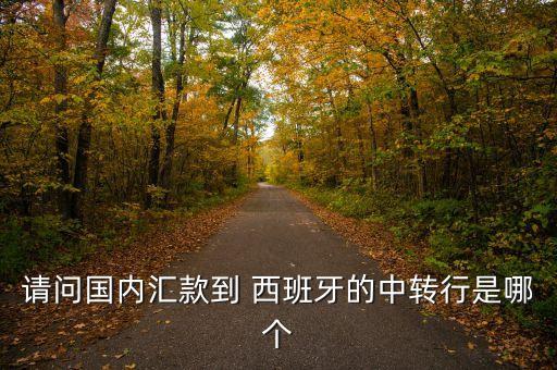 請(qǐng)問(wèn)國(guó)內(nèi)匯款到 西班牙的中轉(zhuǎn)行是哪個(gè)