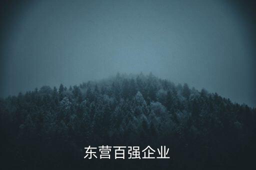 山東科達集團怎么樣