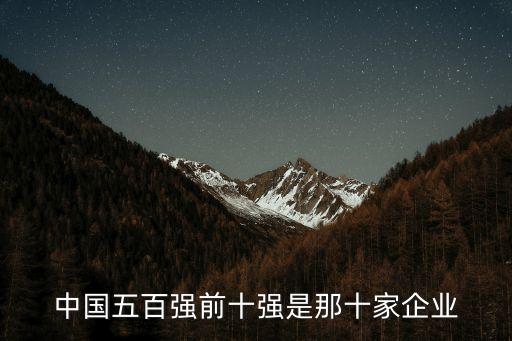 中國(guó)五百?gòu)?qiáng)前十強(qiáng)是那十家企業(yè)