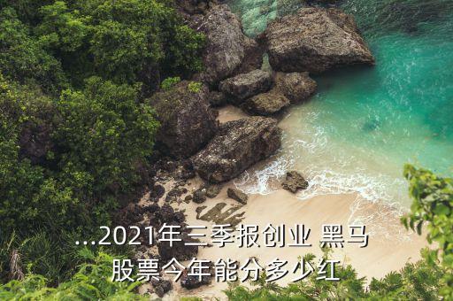 ...2021年三季報(bào)創(chuàng)業(yè) 黑馬 股票今年能分多少紅